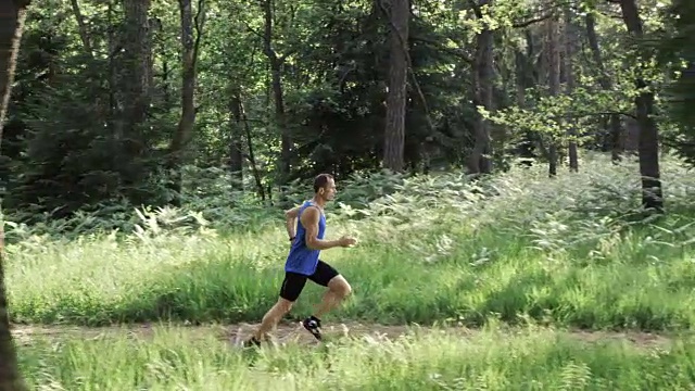 阳光下，男性跑步者在森林小径上奔跑视频素材