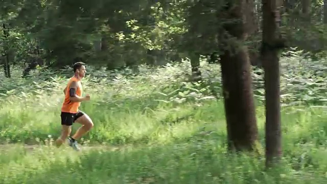 SLO MO DS Man在阳光下的森林小径上奔跑视频下载