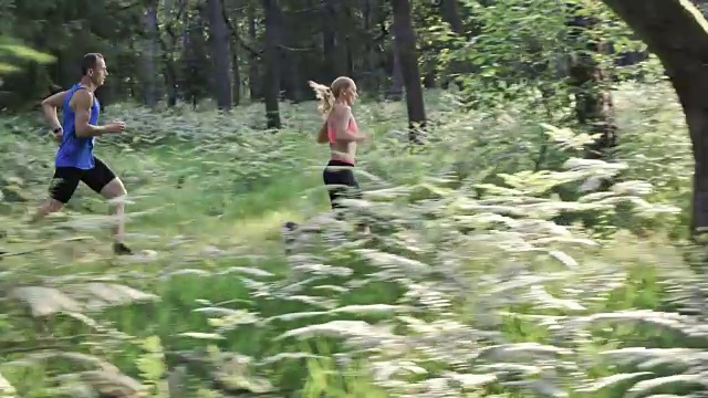 SLO MO DS夫妇在森林小径上跑步视频素材