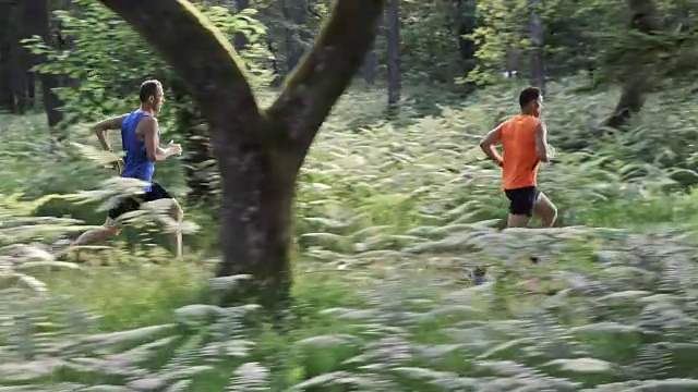 两个男人在森林小径上奔跑视频素材