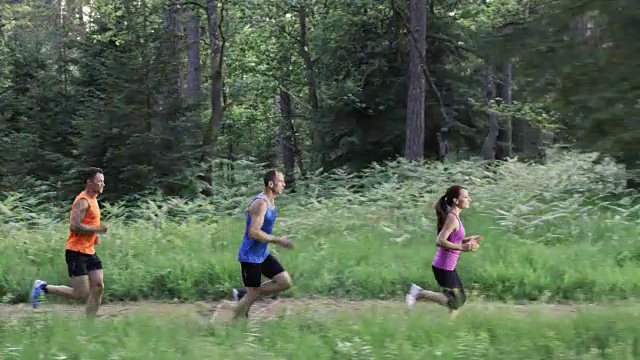 SLO MO DS朋友在森林小路上奔跑视频素材