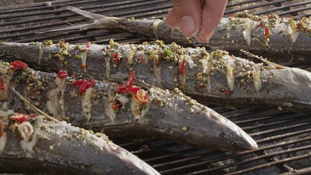 将切片的辣椒和盐放在鱼上烤。视频下载
