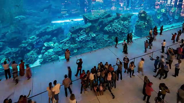 迪拜购物中心内水族馆的时间流逝视频素材