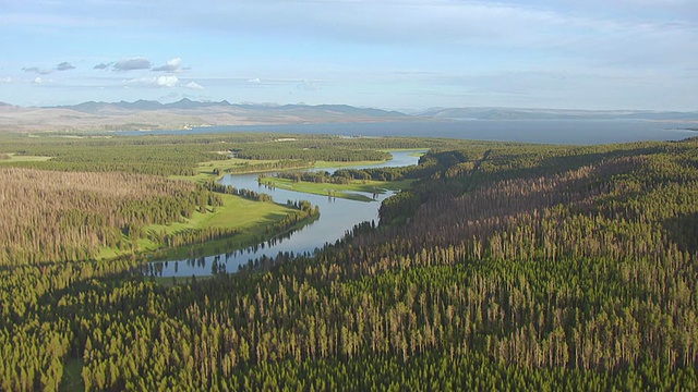 WS鸟瞰图树木和河流到黄石湖海登谷在黄石国家公园/怀俄明州，美国视频下载