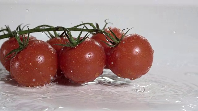 西红柿坠落并产生飞溅的液滴V2视频素材