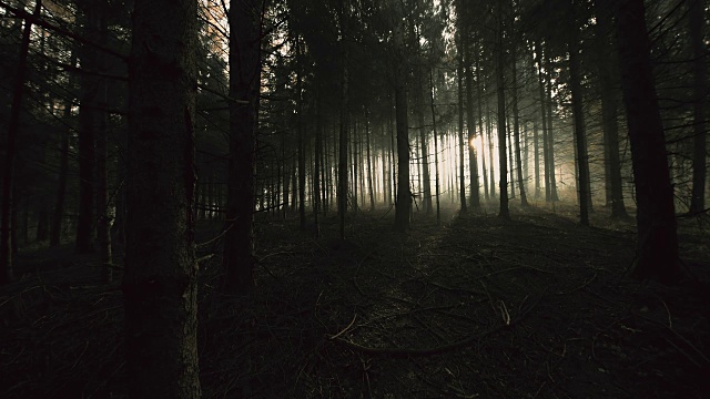 吓坏了的年轻人在黑暗的森林里奔跑视频素材