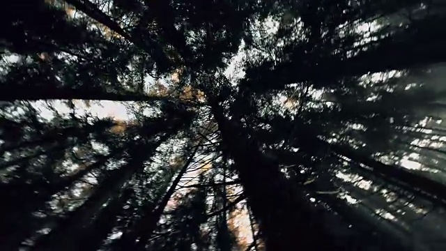 害怕的人在森林里奔跑视频素材