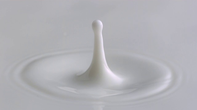 牛奶滴到牛奶-皇冠-近距离视频下载