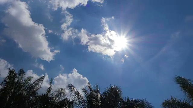 太阳，云彩和树的运动视频素材
