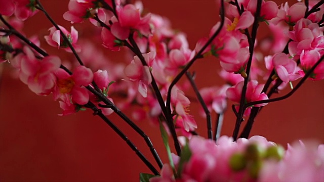 中国新年的装饰“福”字意味着好运视频素材