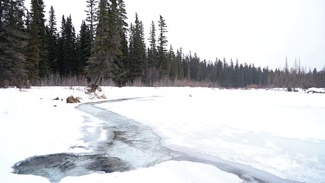 冰冻的小溪视频素材