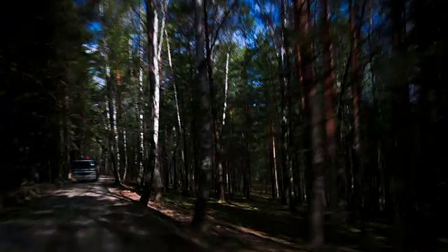 在森林道路上开车视频素材