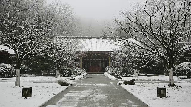 中国浙江杭州万松书院中式园林的雪景视频下载