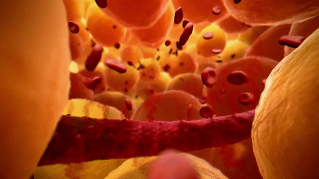 动画序列显示保护液体从一个新修复的血管释放以对抗感染。视频下载