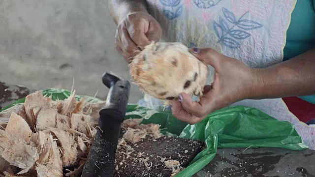 尼加拉瓜一名妇女用一把大刀削椰子。在这个4K视频中，我们可以看到一个来自中美洲的原住民的手在Masaya市场上切这种异国水果的皮肤。视频下载