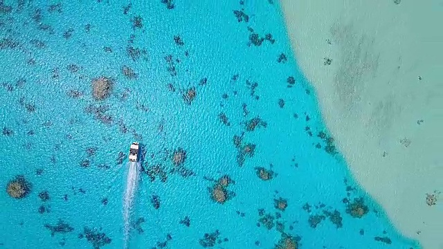 俯瞰观光船在太平洋泻湖航行视频下载