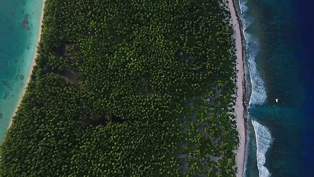 Manra环礁上空，棕榈树和海滩小屋视频下载