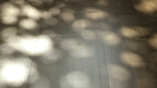 抽象的树叶阴影在木地板上运动视频下载