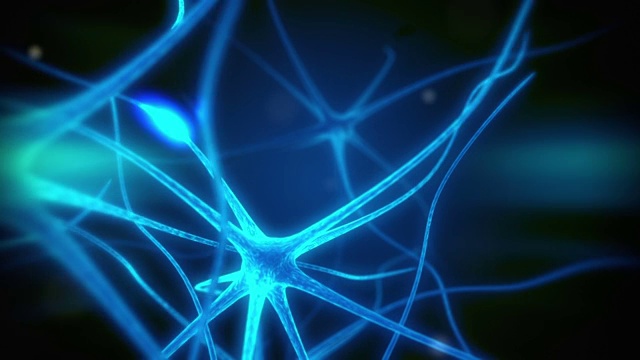 环路神经元医学动画视频素材
