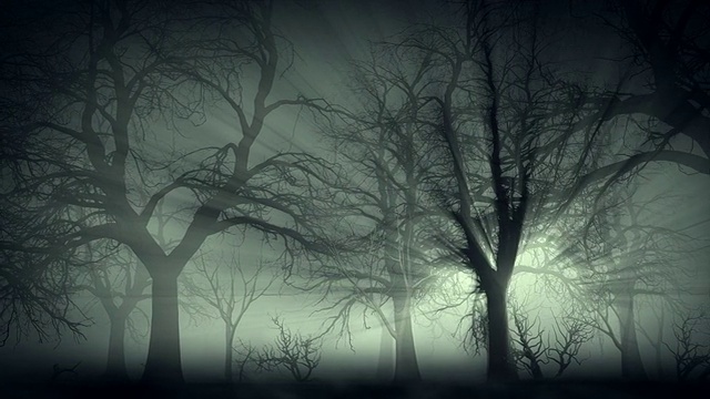 迷雾中的黑暗森林视频下载