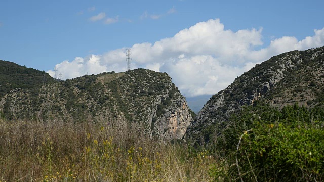 西班牙比利牛斯悬崖前的杂草视频素材