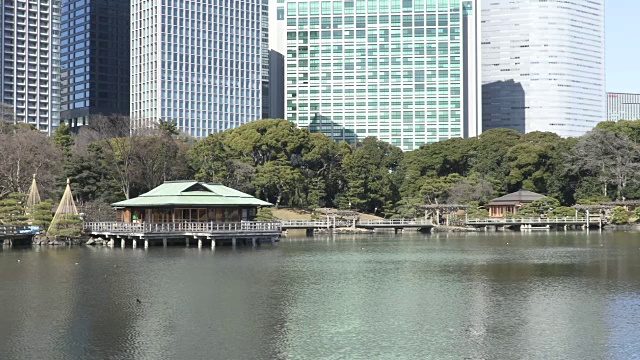传统的日本园林和现代建筑视频素材
