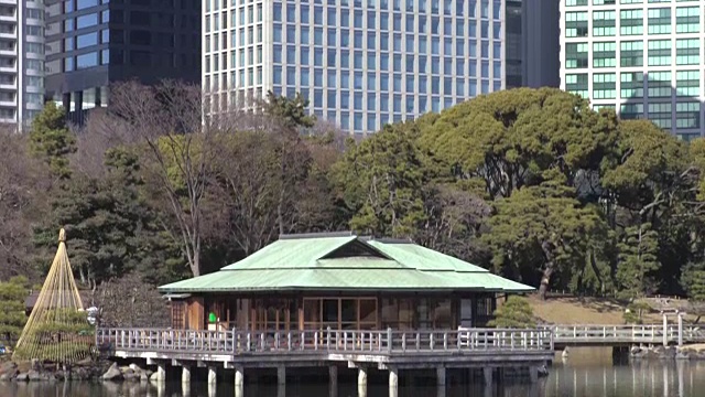 日本传统园林视频素材