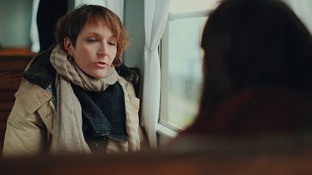 女人在火车上，一起旅行视频素材