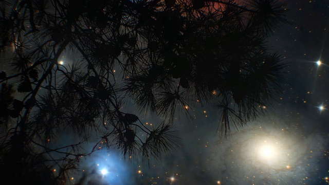 银河系和树(可循环)视频素材