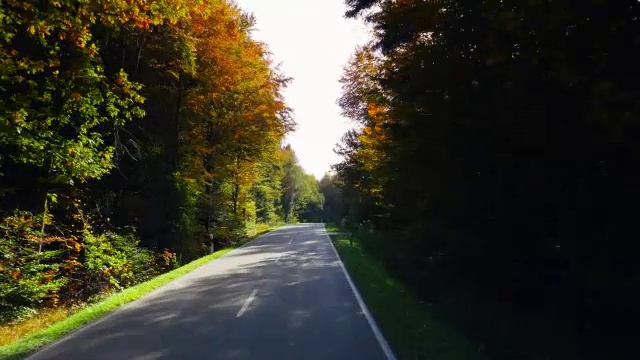 POV驾车穿越秋季森林(UHD)视频素材