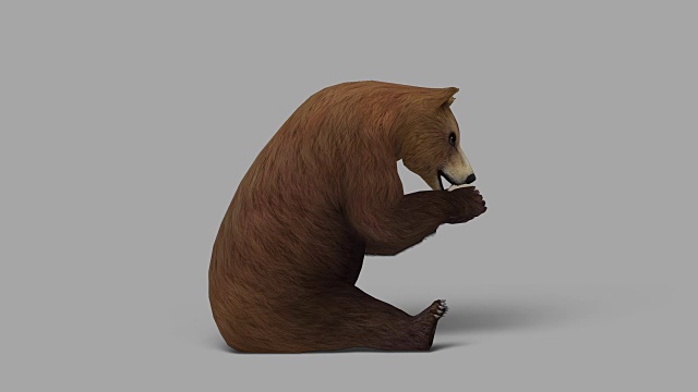 用阿尔法通道吃熊(可循环)视频素材