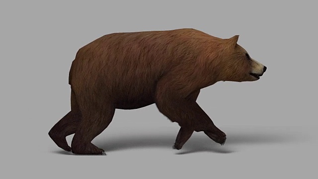 带有Alpha通道的奔跑熊(可循环)视频素材
