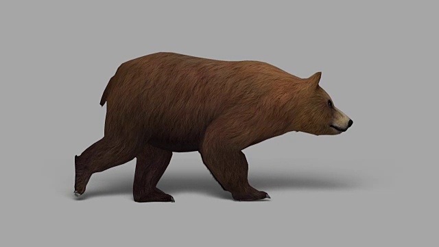 带Alpha通道的步行熊(可循环)视频素材