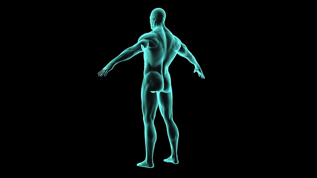 人体360度x光。医学视频背景。视频下载