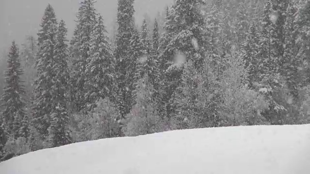 长焦拍摄的雪覆盖的树木在山期间，沉重的雪花暴风雪。视频素材