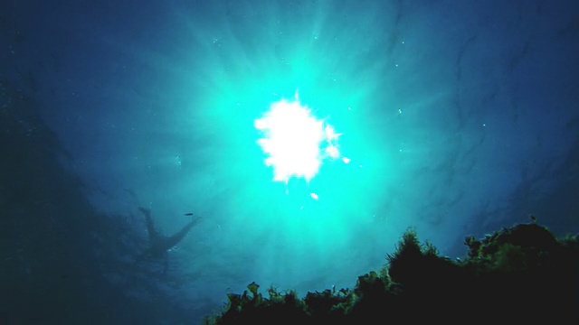 从深海中看到的游泳者视频素材