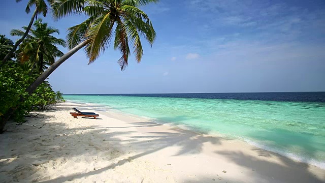 热带海滩上的棕榈树和日光浴椅，马尔代夫，印度洋视频素材