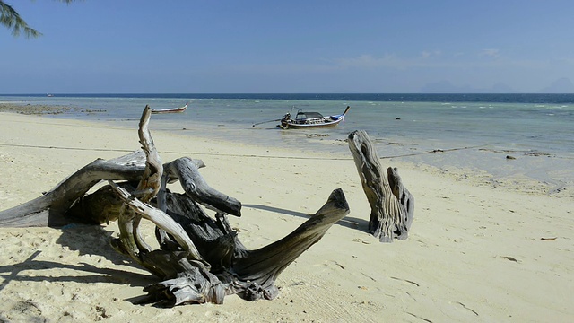 泰国甲米海洋国家公园/ Ko Hai沙滩上的浮木和长尾船视频素材