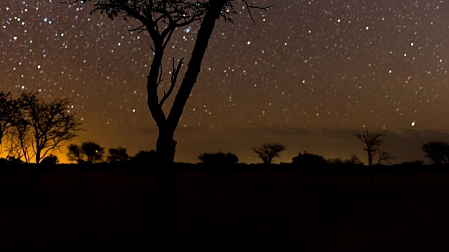 一个缓慢的线性视差日落时间的抽象剪影的Acacia树在一个典型的喀拉哈里风景，当太阳在一个戏剧性的蓝色天空下落下，从白天到夜晚的过渡(圣杯)与星星通过视频素材