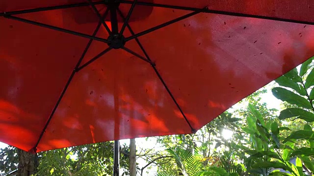 花园里的红色阳伞视频素材