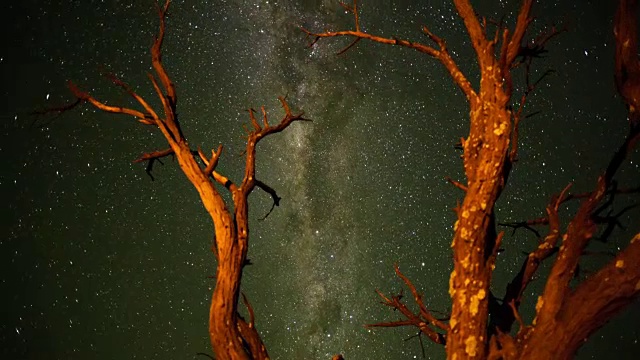 穿越南非喀拉哈里丛林草原上的一棵枯死的Acacia树，插入时间间隔，向银河射向，直到太阳升起时被冲掉视频素材