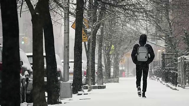 布鲁克林的下雪天视频素材