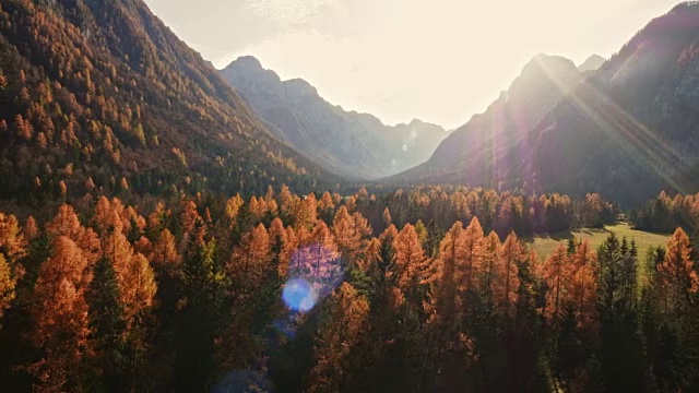 空中森林覆盖山谷在一个晴朗的日子在秋天视频下载