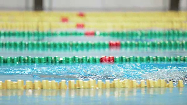 女子游泳运动员以蛙泳的方式游泳视频下载