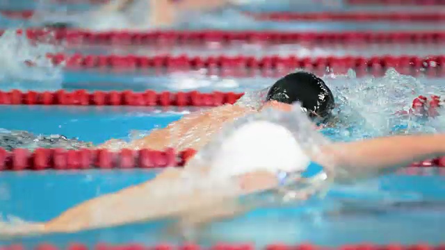 男子游泳运动员自由泳比赛视频下载