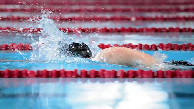 女子游泳运动员赢得了自由泳比赛视频下载