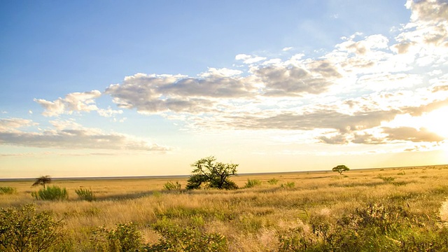 日落时分的纳米比亚草原视频素材