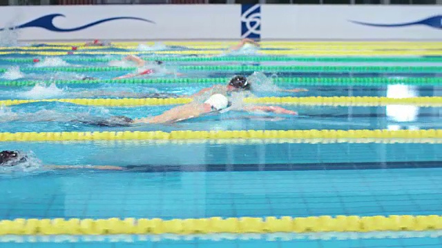 男子自由泳比赛视频下载