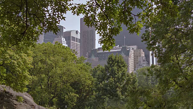 纽约中央公园视频素材