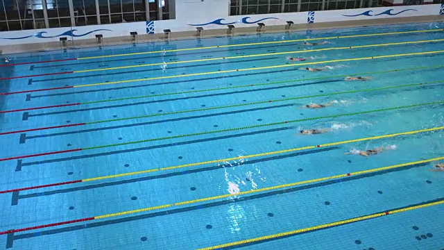 女子游泳运动员在自由泳比赛中奋力拼搏视频下载